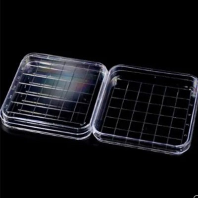 Einnota Lab Petrí-skál úr plasti